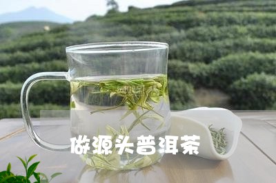 做源头普洱茶/2023042768620