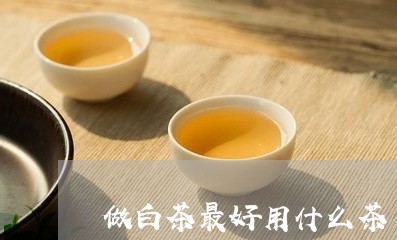 做白茶最好用什么茶/2023071525147