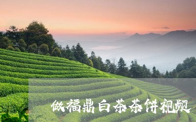 做福鼎白茶茶饼视频/2023081231714