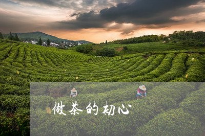 做茶的初心/2023090227137