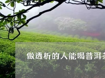 做透析的人能喝普洱茶吗/2023103172494