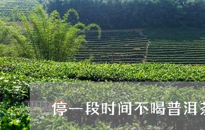 停一段时间不喝普洱茶/2023062861725