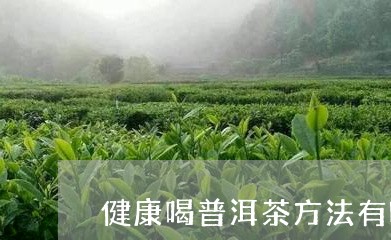 健康喝普洱茶方法有哪些/2023112453927