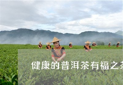 健康的普洱茶有福之茶/2023080325959