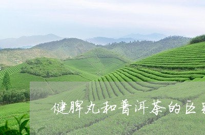 健脾丸和普洱茶的区别/2023092869271