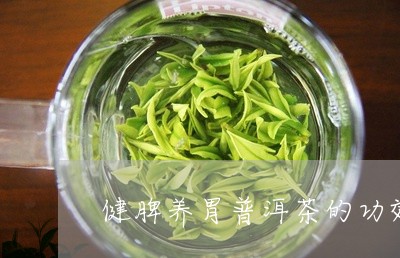 健脾养胃普洱茶的功效/2023120749702