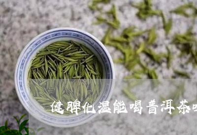 健脾化湿能喝普洱茶吗/2023061782936