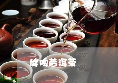 健脾普洱茶/2023090598731