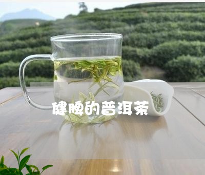 健脾的普洱茶/2023042672321