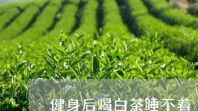 健身后喝白茶睡不着/2023081242505