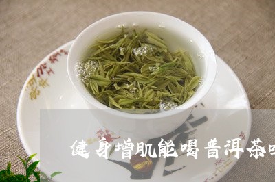 健身增肌能喝普洱茶吗/2023092713605