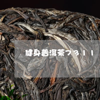 健身普洱茶7311/2023070962805