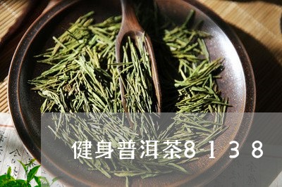 健身普洱茶8138/2023070985938