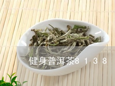 健身普洱茶8138/2023091596049