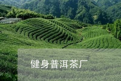 健身普洱茶厂/2023090682627