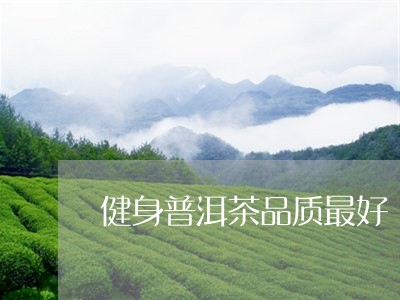 健身普洱茶品质最好/2023070892704