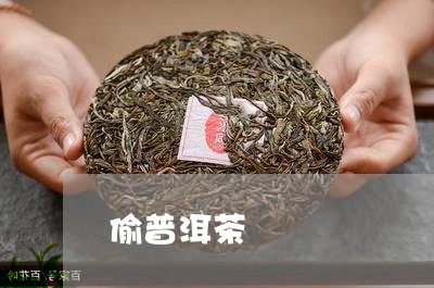 偷普洱茶/2023121824956