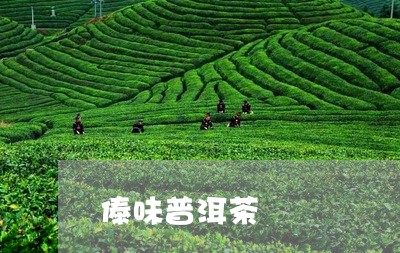 傣味普洱茶/2023090528263