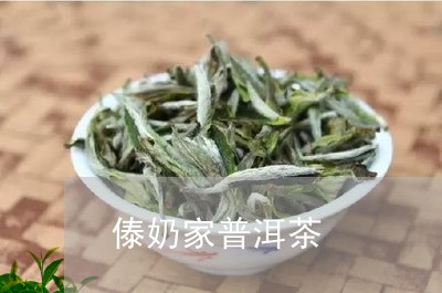 傣奶家普洱茶/2023081851606