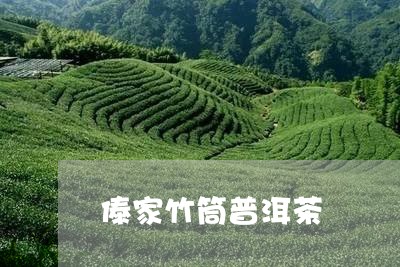 傣家竹筒普洱茶/2023101610583