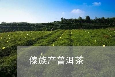 傣族产普洱茶/2023042812720