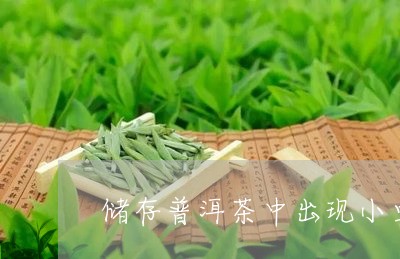 储存普洱茶中出现小虫/2023080139604