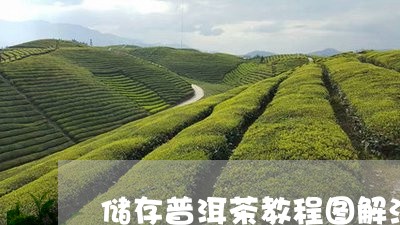 储存普洱茶教程图解法视频/2023121392827