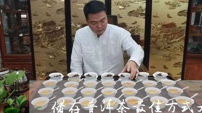 储存普洱茶最佳方式是什么/2023121396361