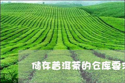 储存普洱茶的仓库要求/2023100840705