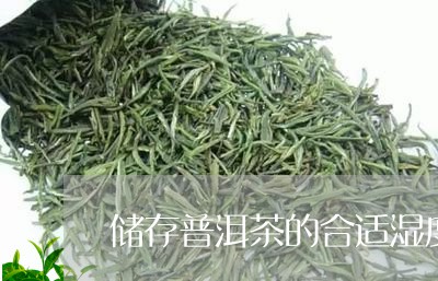 储存普洱茶的合适湿度/2023120762958