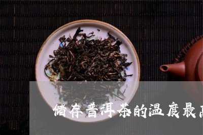 储存普洱茶的温度最高/2023100566856