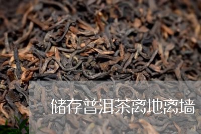 储存普洱茶离地离墙/2023101764615