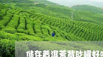 储存普洱茶紫砂罐好吗图片/2023112567258