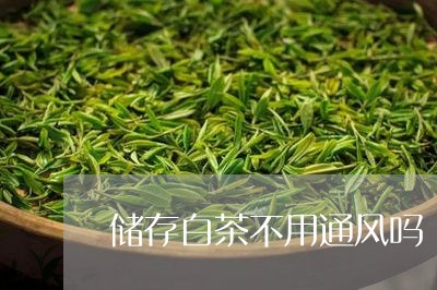 储存白茶不用通风吗/2023071577038