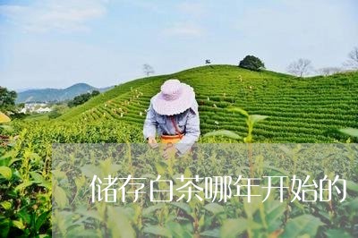 储存白茶哪年开始的/2023071547260