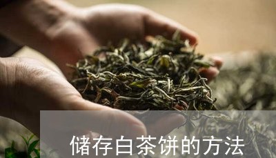 储存白茶饼的方法/2023061370605