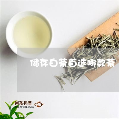 储存白茶首选哪款茶/2023121725060