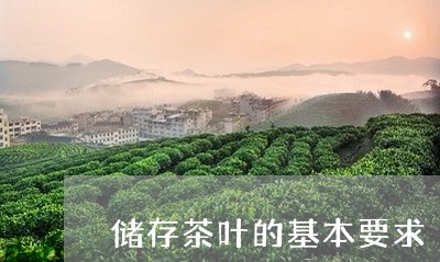 储存茶叶的基本要求/2023042501708