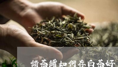 储茶罐如何存白茶好/2023121784849