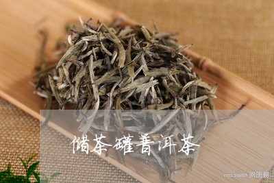 储茶罐普洱茶/2023042704033