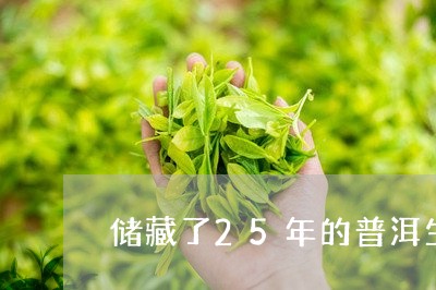 储藏了25年的普洱生茶饼价值/2023053100815