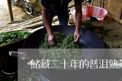 储藏二十年的普洱熟茶叶还能不能用/2023060324048