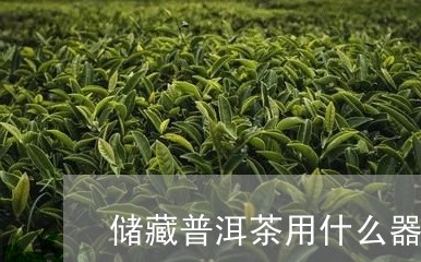 储藏普洱茶用什么器皿/2023100687584