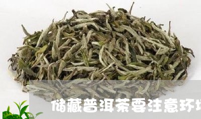 储藏普洱茶要注意环境/2023100661605