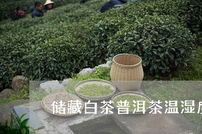 储藏白茶普洱茶温湿度/2023062308593