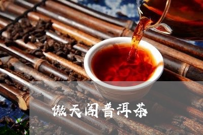 傲天阁普洱茶/2023042583242