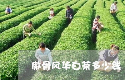 傲骨风华白茶多少钱/2023081203935