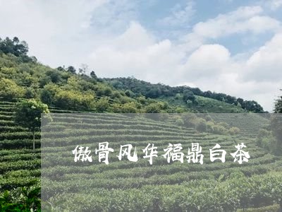 傲骨风华福鼎白茶/2023061361935