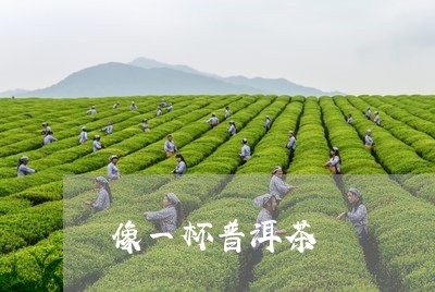 像一杯普洱茶/2023090660804