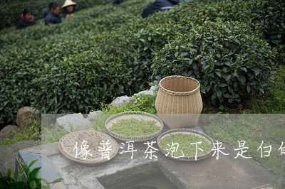 像普洱茶泡下来是白的/2023061773948